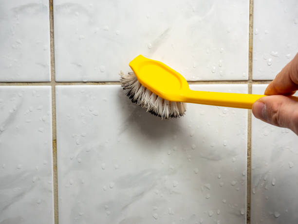 Best Residential Mold Remediation in Lake Secession, SC