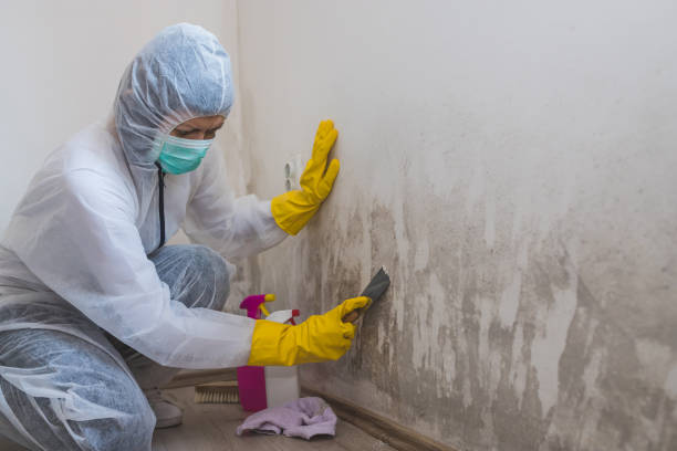 Best Bathroom Mold Remediation in Lake Secession, SC