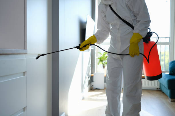 Best White Mold Remediation in Lake Secession, SC