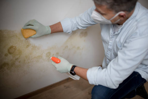 Best HVAC Mold Remediation in Lake Secession, SC