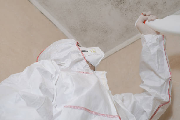 Best Basement Mold Remediation in Lake Secession, SC